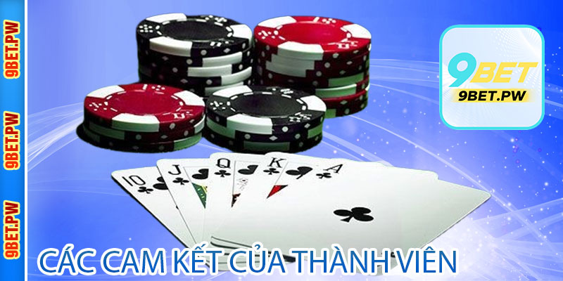 Các cam kết của thành viên khi tham gia nhà cái 9bet