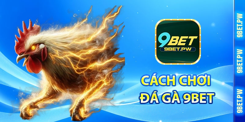Cách Chơi Đá Gà 9Bet
