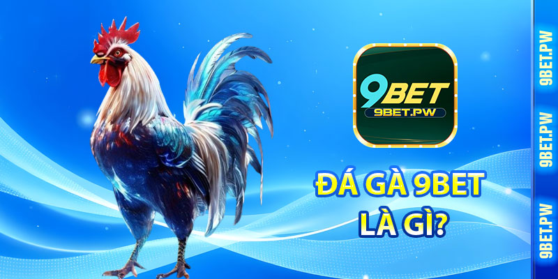 Đá Gà 9Bet Là Gì?