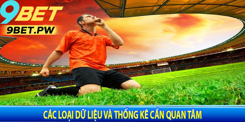 Các Loại Dữ Liệu và Thống Kê Cần Quan Tâm