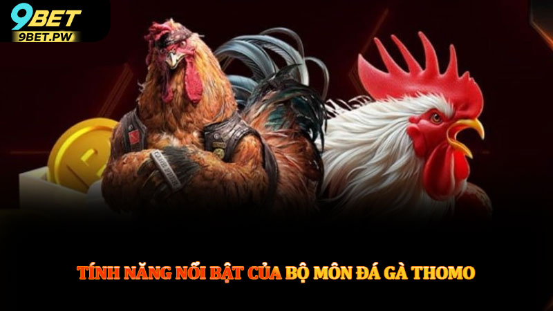 Tính năng nổi bật của bộ môn đá gà thomo