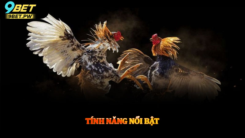 Tính năng nổi bật