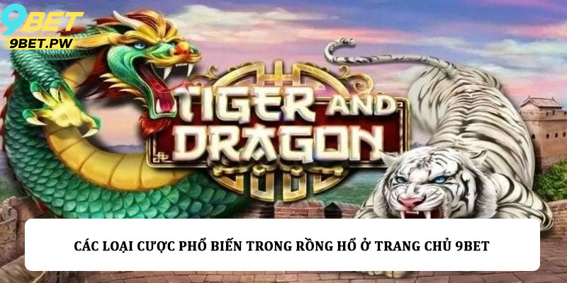 Các loại cược phổ biến trong Rồng hổ ở trang chủ 9bet