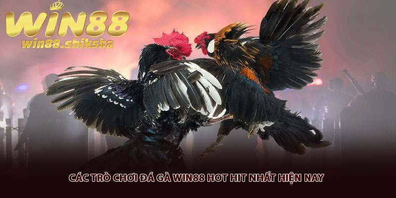 Các trò chơi Đá gà Win88 hot hit nhất hiện nay