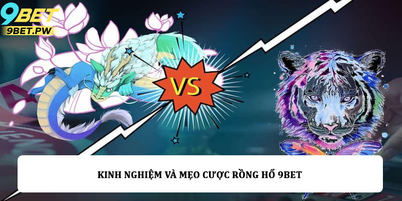 Kinh nghiệm và mẹo cược Rồng hổ 9bet